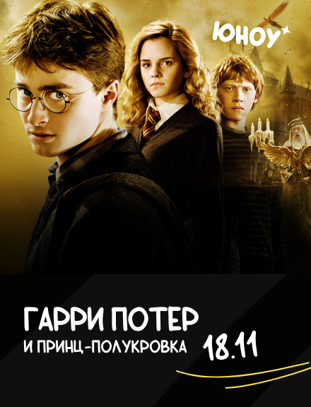 Гарри Поттер и Принцп-полукровка | Юноу #26